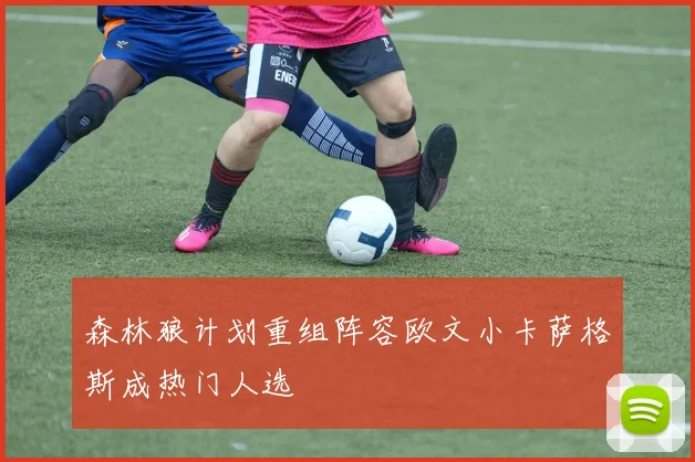 森林狼计划重组阵容欧文小卡萨格斯成热门人选